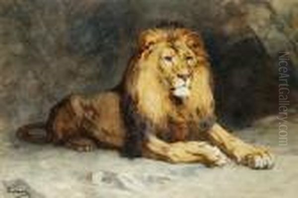 Lion Couche Oil Painting by Gustave Surand