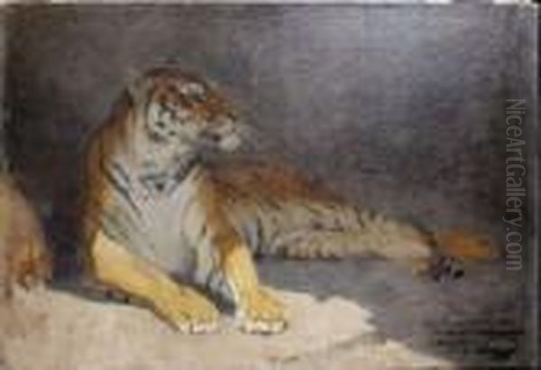 Tigre Couche Oil Painting by Gustave Surand