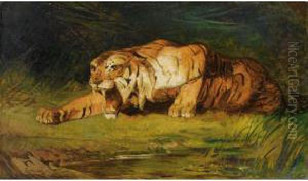 Tigre Pret A Bondir Oil Painting by Gustave Surand