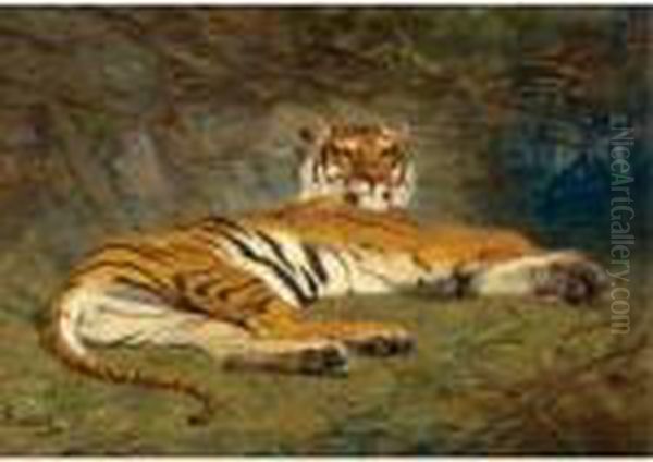 The Recumbent Tiger Oil Painting by Gustave Surand