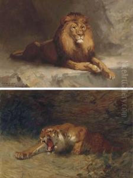 Tigre Rugissant Oil Painting by Gustave Surand