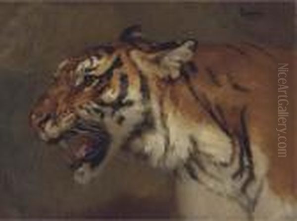 Tigre Rugissant Oil Painting by Gustave Surand