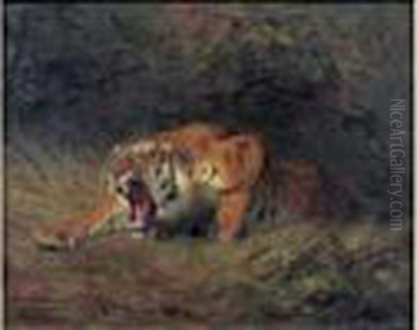 Tigre Rugissant Oil Painting by Gustave Surand