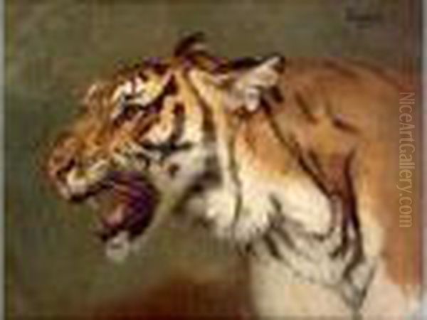 Tigre Oil Painting by Gustave Surand