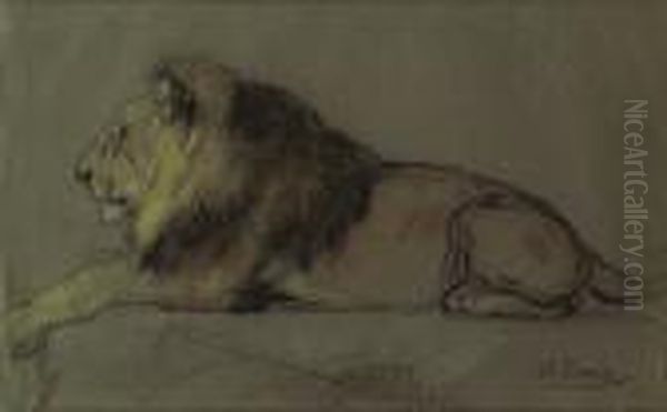 Etude De Lion Couche Oil Painting by Gustave Surand