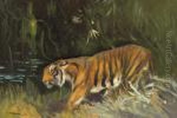 Prowling Tiger Oil Painting by Cuthbert Edmund Swan