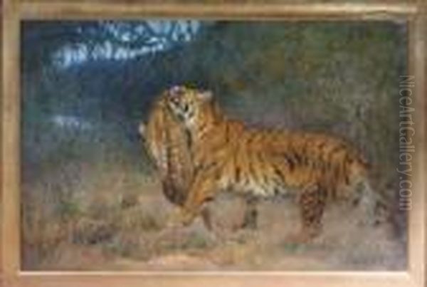 A Tiger With An Antelope Oil Painting by Cuthbert Edmund Swan