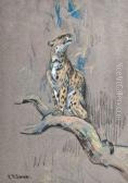 Study Of A Leopard Oil Painting by Cuthbert Edmund Swan