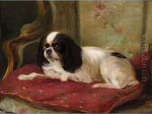 A Cavalier King Charles Spaniel Oil Painting by Cuthbert Edmund Swan