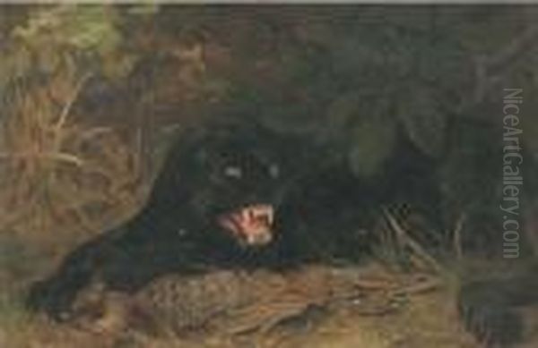 A Panther Guarding His Kill Oil Painting by Cuthbert Edmund Swan