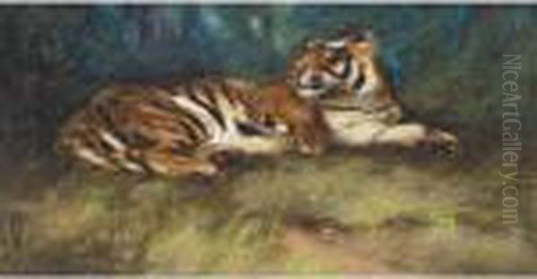 Tiger Oil Painting by Cuthbert Edmund Swan