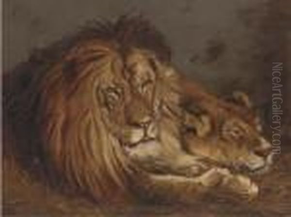 Lion And Lioness Oil Painting by John Macallan Swan