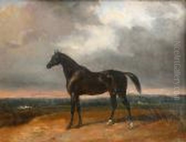 Un Cheval Bai Dans Un Paysage. Oil Painting by Edouard Bernard Swebach