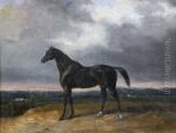 Un Cheval Bai Dans Un Paysage Oil Painting by Edouard Bernard Swebach