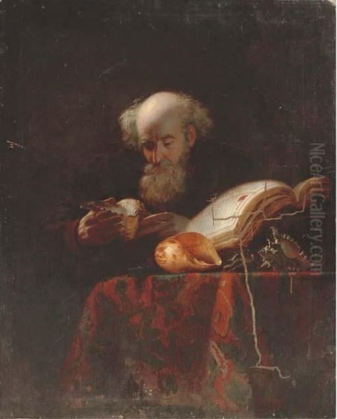 An Old Man Studying Shells Oil Painting by Michiel Sweerts