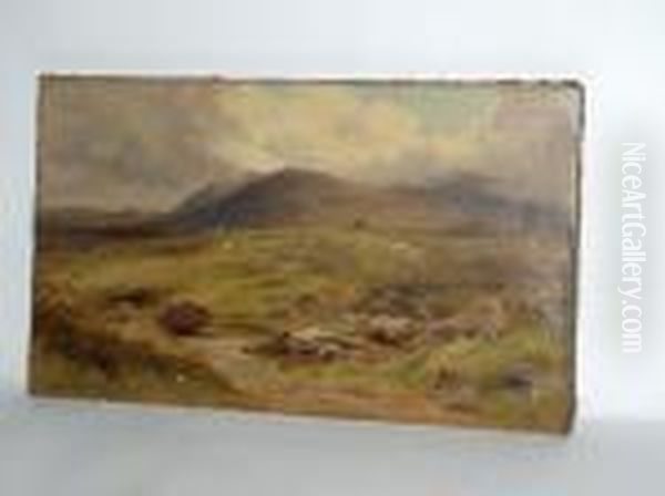 Sheep In Moorland Oil Painting by John Syer