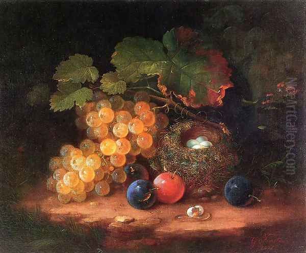 Still Life with Fruit, Bird's Nest and Broken Egg Oil Painting by George Forster