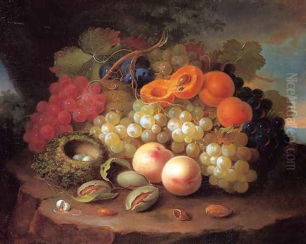 Still Life with Fruit and Bird's Nest Oil Painting by George Forster