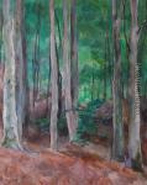 A Forest Near Blankenese Oil Painting by Walter Tanck