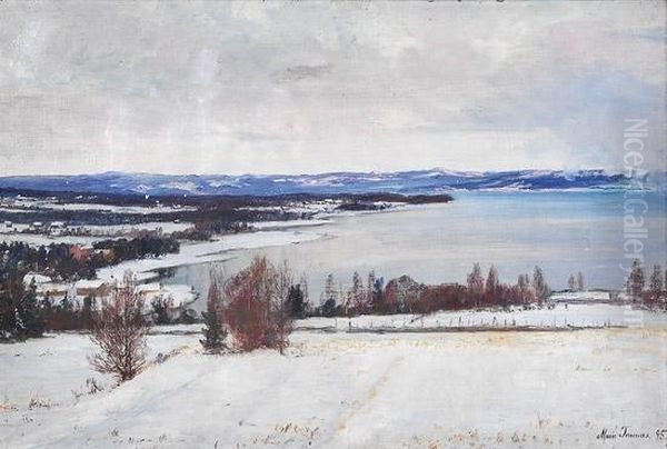 Kystlandskap, Vinter 1895 1895 Oil Painting by Marie Tannaes