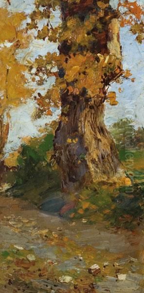 Albero Oil Painting by Andrea Tavernier