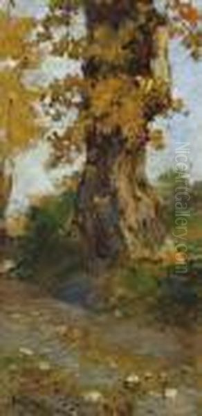 Albero Oil Painting by Andrea Tavernier