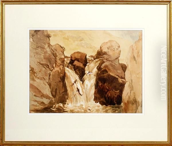 Salmon At The Waterfall Oil Painting by John Frederick Tayler