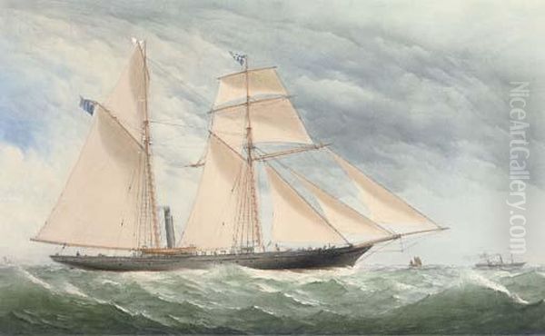 A Steam Yacht Of The Royal Thames Yacht Club In The Channel Oil Painting by Charles Taylor