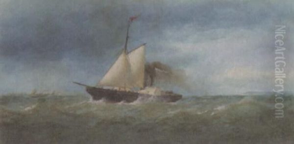 Paddle Streamer Off The Coast Oil Painting by Charles Taylor