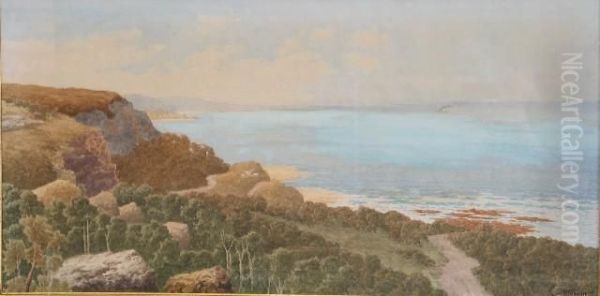 Tebbit , Maitland Bay C. 1900 Oil Painting by Henri Tebbitt