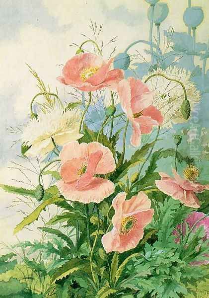 Poppies 1889 Oil Painting by Ellen Bowditch Thayer Fisher