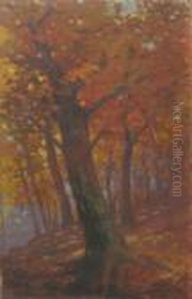 Forest In Autumn Oil Painting by Nicolae Tempeanu