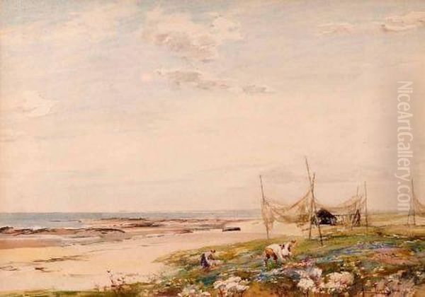 Samphire
Pickers Oil Painting by John Terris