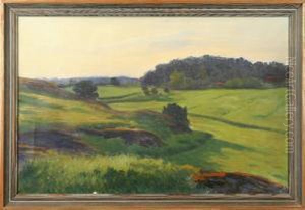 Djursholmsmotiv Nara Osbysjon, Intygad A Tergo Av Elin Thegerstrom, Olja Pa Duk, 51x79 Oil Painting by Robert Thegerstrom