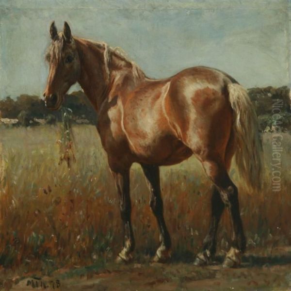 Grazing Horse Ina Field Oil Painting by Michael Therkildsen