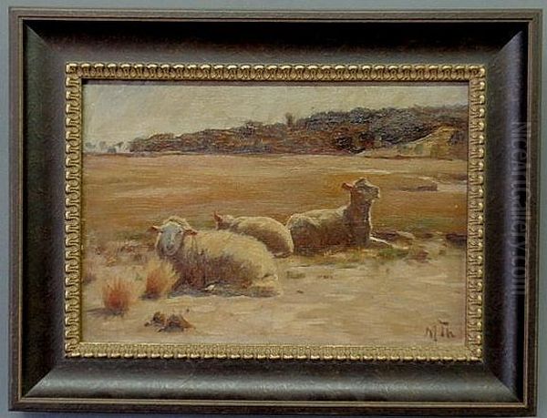 Sheep Lying In An Open Field Oil Painting by Michael Therkildsen