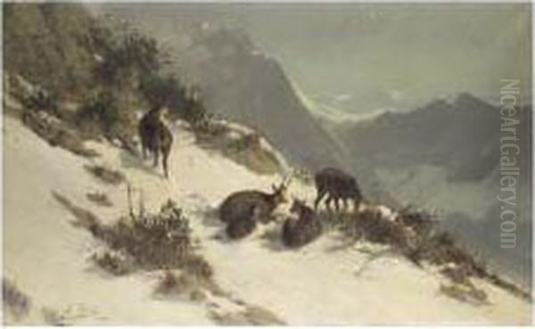 Chamois Grazing In The Snow Oil Painting by Arthur Thiele