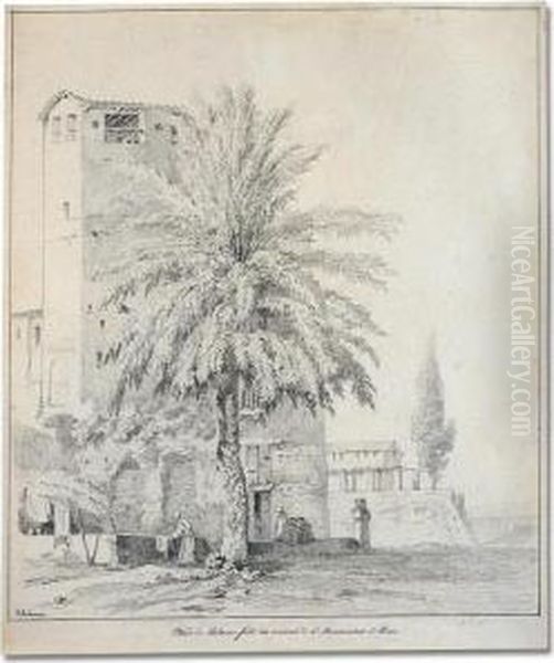 Study Of A Palm Tree In The Convent Of S. Bonaventura, Rome Oil Painting by Claude I Thienon