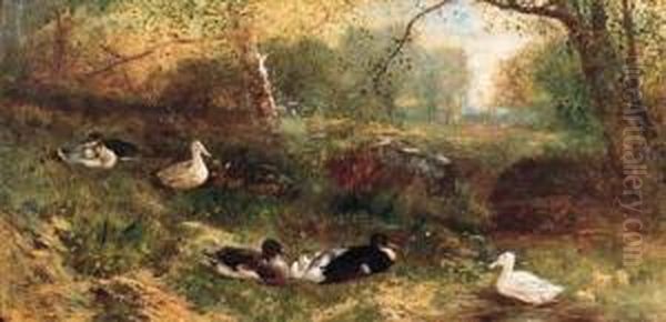 A Duck With Her Ducklings Oil Painting by James Crawford Thom