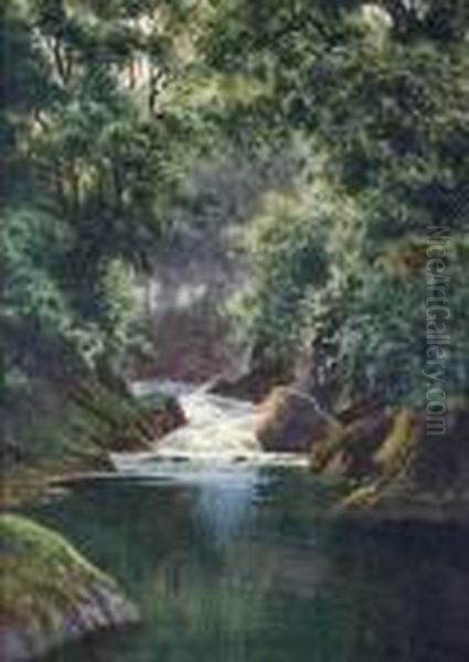 A Waterfall In A Woodland River Oil Painting by Edward H. Thompson