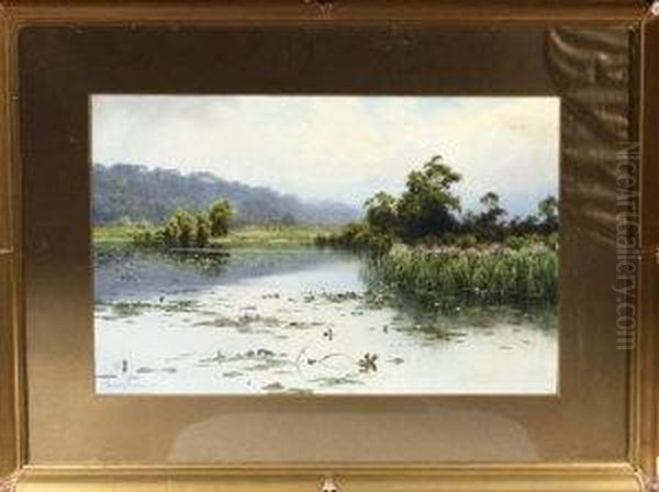 Waterlily Bay, Rydal Water Oil Painting by Edward Horace Thompson