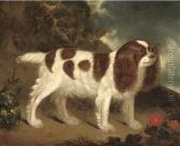 A King Charles Spaniel In A Rocky Landscape Oil Painting by Wilfred Thompson