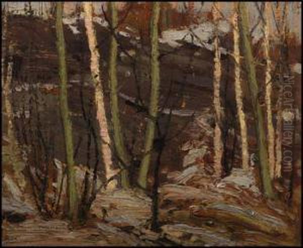 Poplar Point, Rock, Sun Oil Painting by Tom Thomson