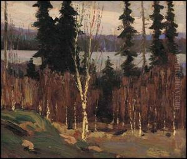 South Shore Of Canoe Lake, Algonquin Park Oil Painting by Tom Thomson