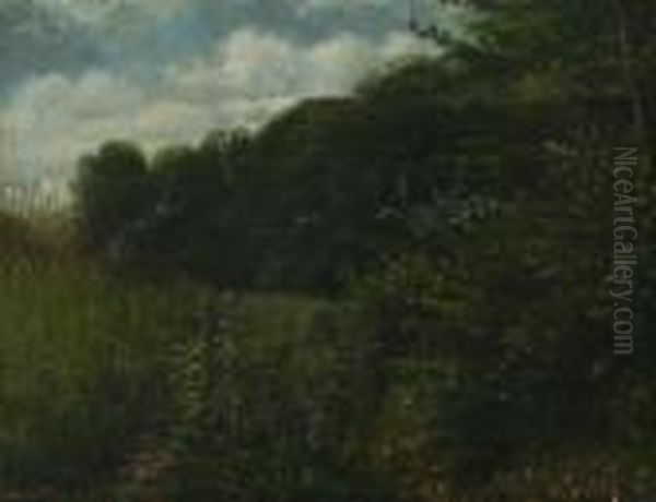 Sommerlicher Waldrand Bei Ordrup Krat Oil Painting by Anton Erik Ch. Thorenfeld