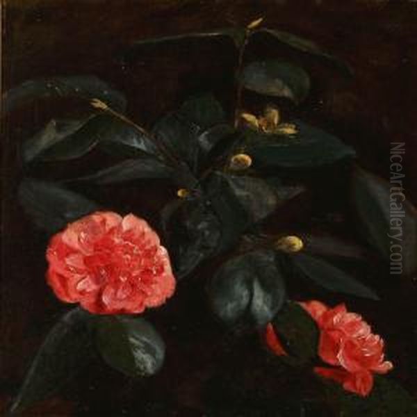 Flowering Camellias Oil Painting by Emmy Marie Caroline Thornam