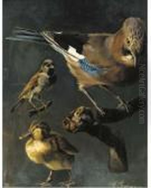 A Jay, Sparrow And Duckling Oil Painting by Emmy Marie Caroline Thornam