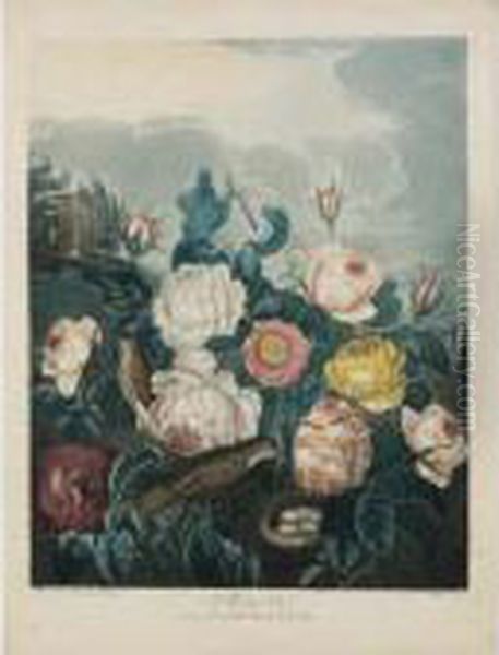 Temple Of Flora: Roses Oil Painting by Robert John, Dr. Thornton