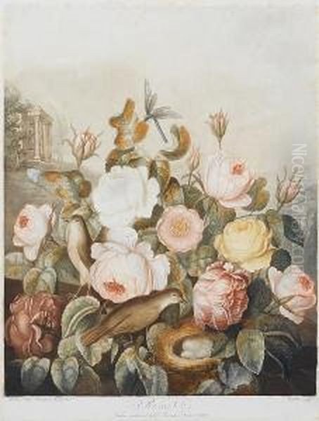 Roses From Temple Of Flora Oil Painting by Robert John, Dr. Thornton