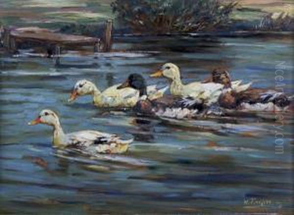 Ducks On Water Oil Painting by Willy Tiedjen